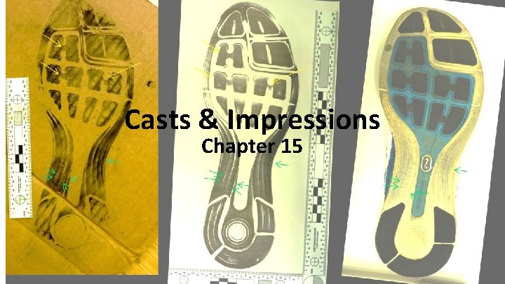 Casts & Impressions Chapter 15 