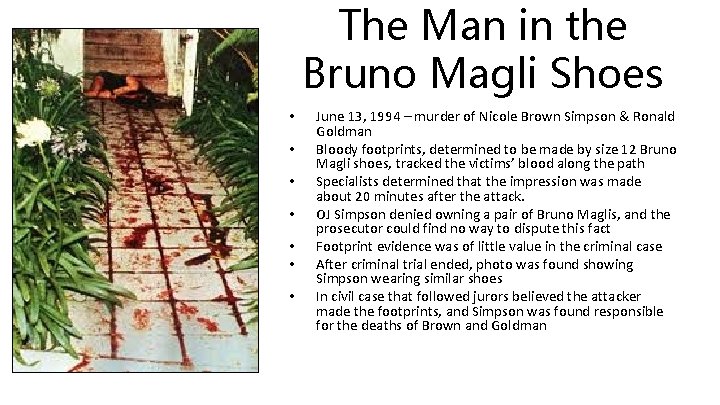 The Man in the Bruno Magli Shoes • • June 13, 1994 – murder