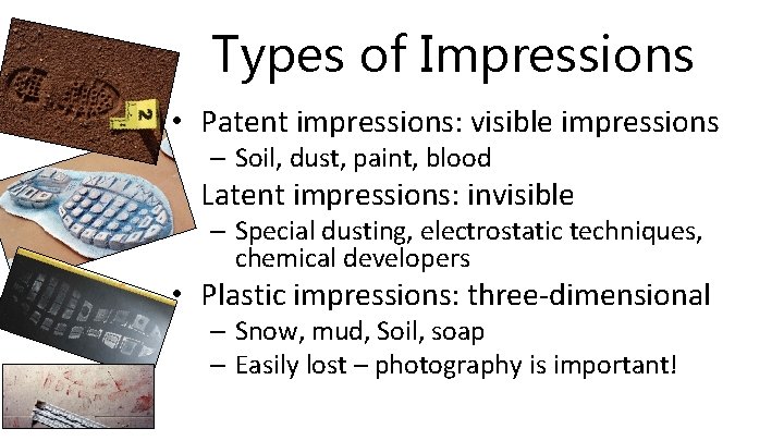 Types of Impressions • Patent impressions: visible impressions – Soil, dust, paint, blood •