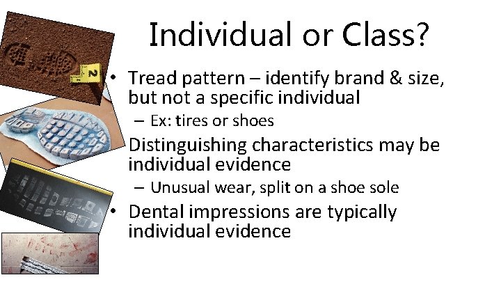 Individual or Class? • Tread pattern – identify brand & size, but not a