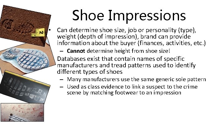 Shoe Impressions • Can determine shoe size, job or personality (type), weight (depth of