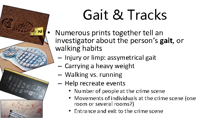 Gait & Tracks • Numerous prints together tell an investigator about the person’s gait,