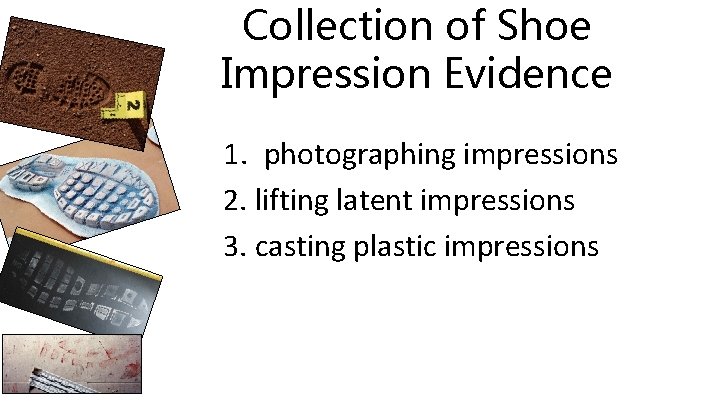 Collection of Shoe Impression Evidence 1. photographing impressions 2. lifting latent impressions 3. casting