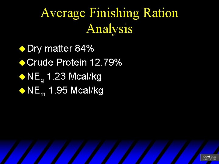 Average Finishing Ration Analysis u Dry matter 84% u Crude Protein 12. 79% u