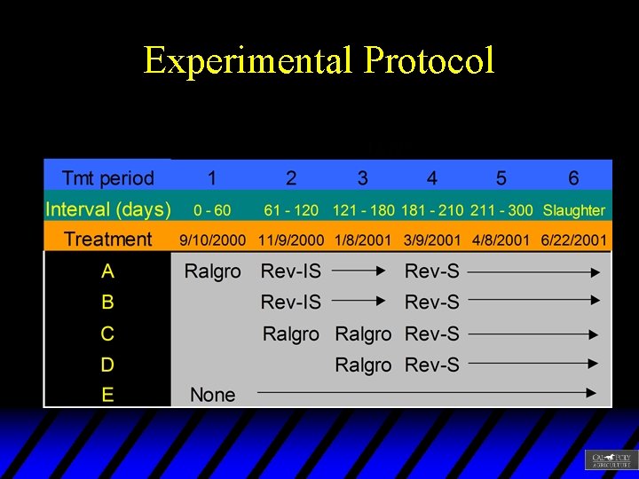 Experimental Protocol 