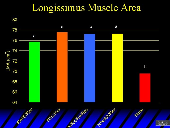 Longissimus Muscle Area 