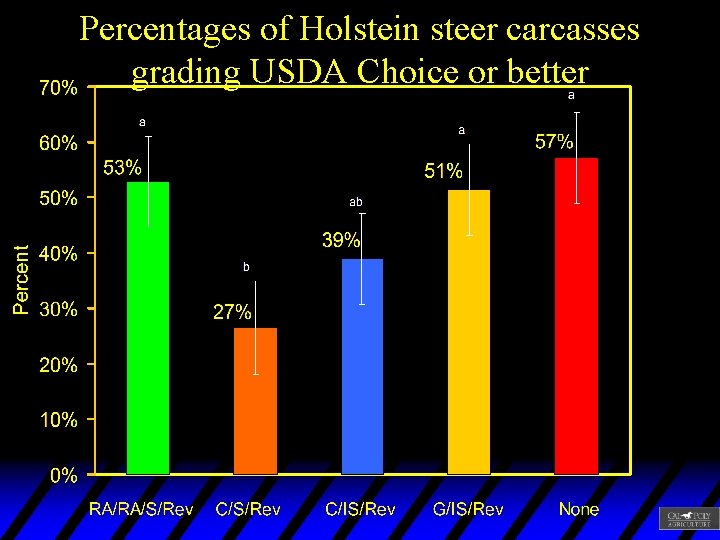 Percentages of Holstein steer carcasses grading USDA Choice or better 