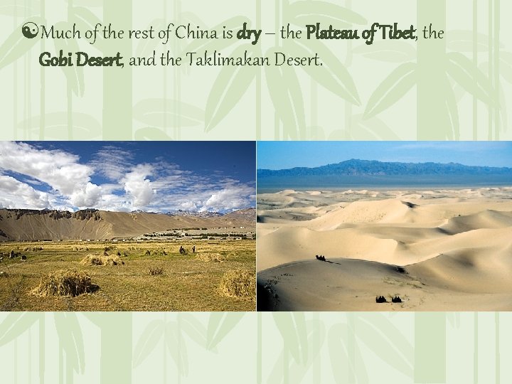 [Much of the rest of China is dry – the Plateau of Tibet, the