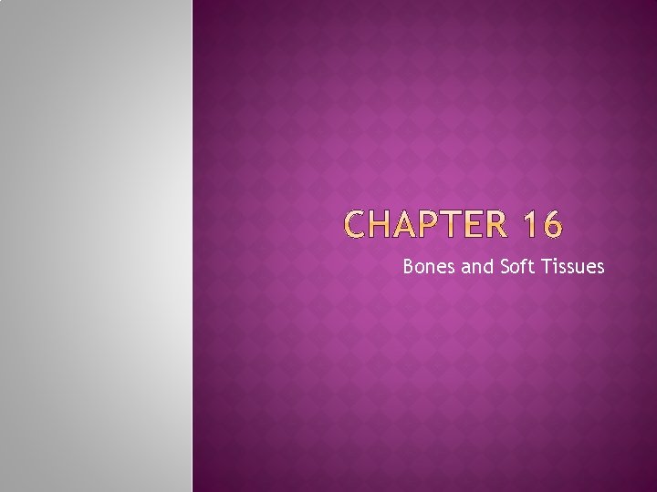 Bones and Soft Tissues 