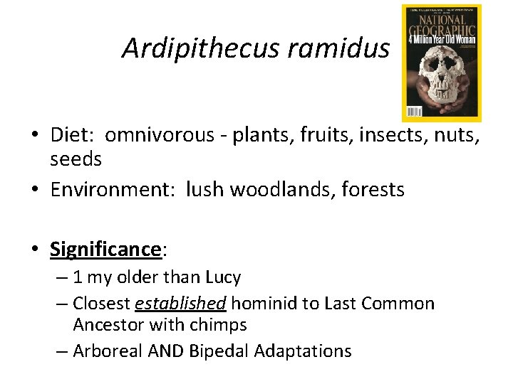 Ardipithecus ramidus • Diet: omnivorous - plants, fruits, insects, nuts, seeds • Environment: lush