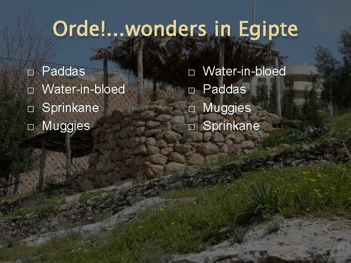 Orde!. . . wonders in Egipte � � Paddas Water-in-bloed Sprinkane Muggies � �