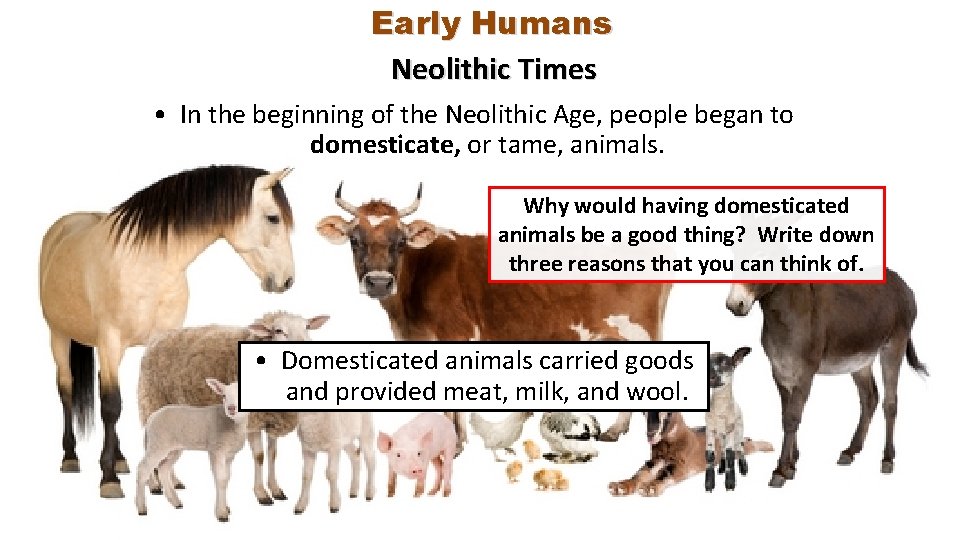 Early Humans Neolithic Times • In the beginning of the Neolithic Age, people began