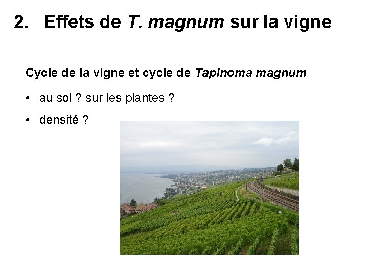 2. Effets de T. magnum sur la vigne Cycle de la vigne et cycle