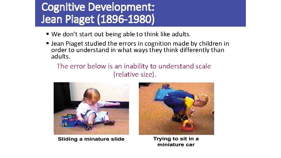 Cognitive Development: Jean Piaget (1896 -1980) § We don’t start out being able to