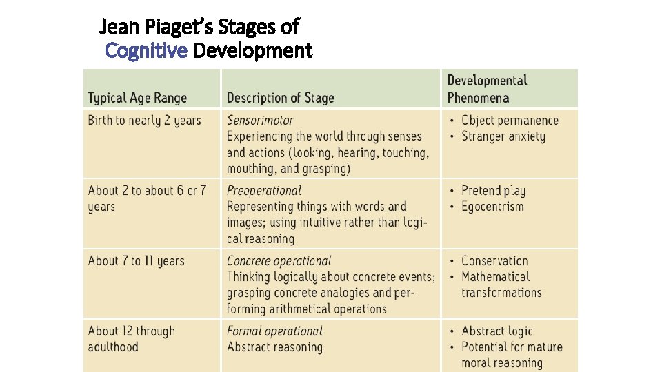 Jean Piaget’s Stages of Cognitive Development 