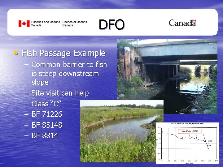 DFO • Fish Passage Example – Common barrier to fish is steep downstream slope