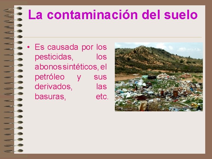 La contaminación del suelo • Es causada por los pesticidas, los abonos sintéticos, el
