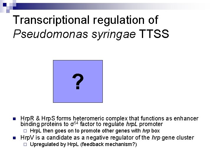 Transcriptional regulation of Pseudomonas syringae TTSS ? n Hrp. R & Hrp. S forms