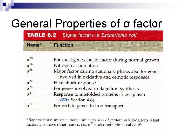 General Properties of σ factor 