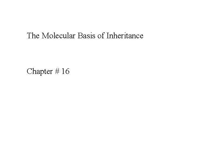 The Molecular Basis of Inheritance Chapter # 16 