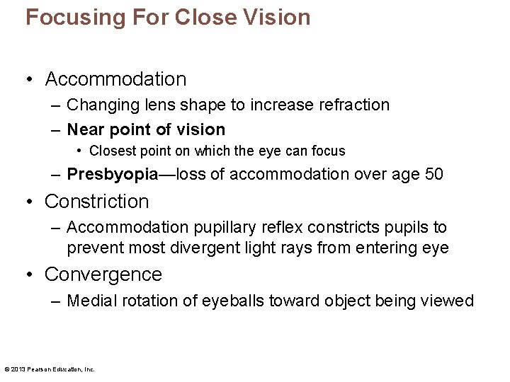 Focusing For Close Vision • Accommodation – Changing lens shape to increase refraction –