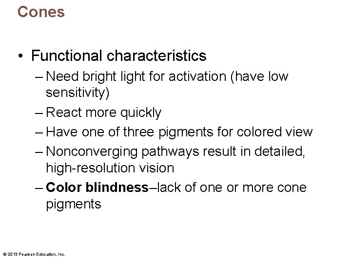 Cones • Functional characteristics – Need bright light for activation (have low sensitivity) –