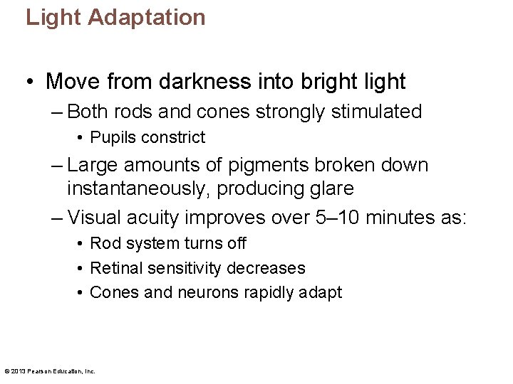 Light Adaptation • Move from darkness into bright light – Both rods and cones