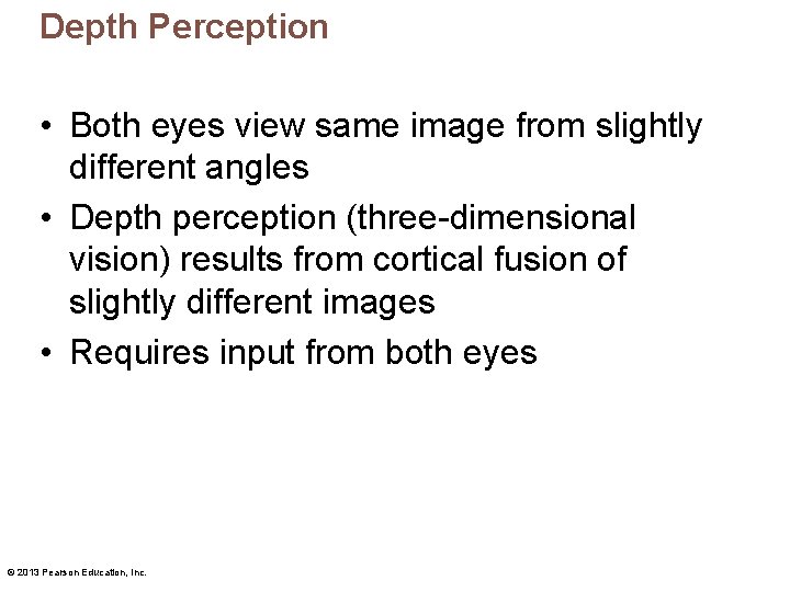 Depth Perception • Both eyes view same image from slightly different angles • Depth