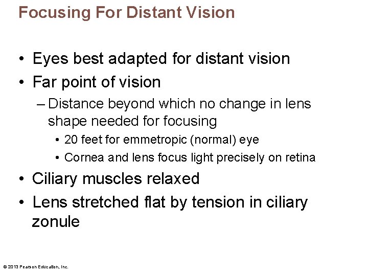 Focusing For Distant Vision • Eyes best adapted for distant vision • Far point