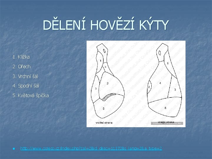 DĚLENÍ HOVĚZÍ KÝTY 1. Kližka 2. Ořech 3. Vrchní šál 4. Spodní šál 5.