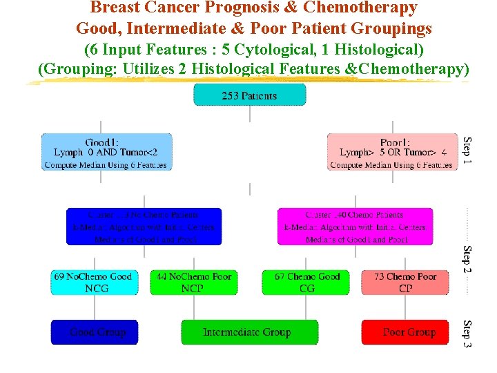 Breast Cancer Prognosis & Chemotherapy Good, Intermediate & Poor Patient Groupings (6 Input Features