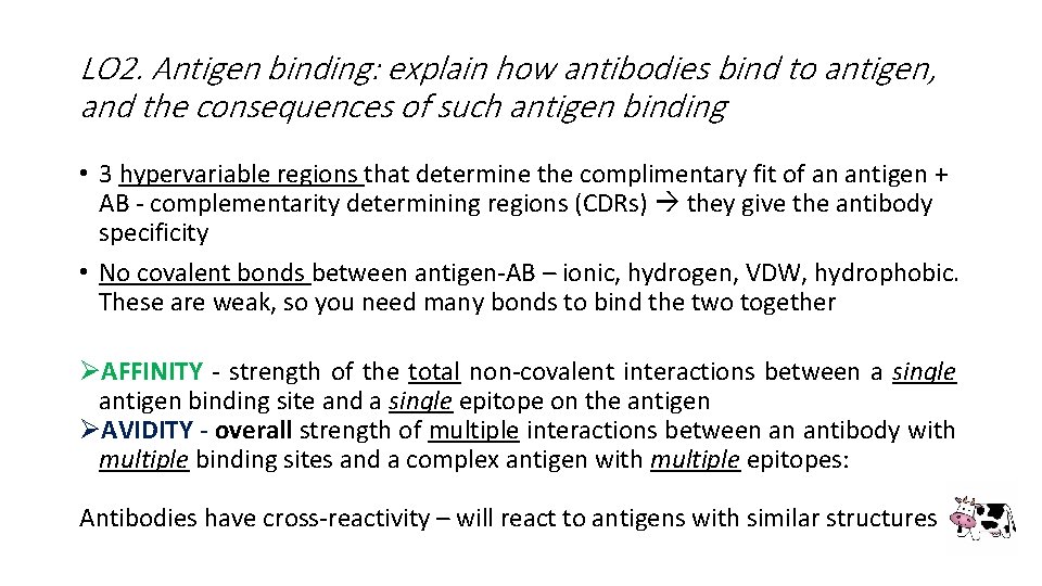 LO 2. Antigen binding: explain how antibodies bind to antigen, and the consequences of LO 2. Antigen binding: explain how antibodies bind to antigen, and the consequences of