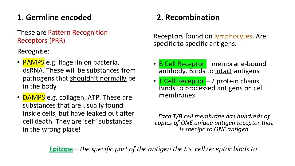 1. Germline encoded These are Pattern Recognition Receptors (PRR) Recognise: • PAMPS e. g. 1. Germline encoded These are Pattern Recognition Receptors (PRR) Recognise: • PAMPS e. g.
