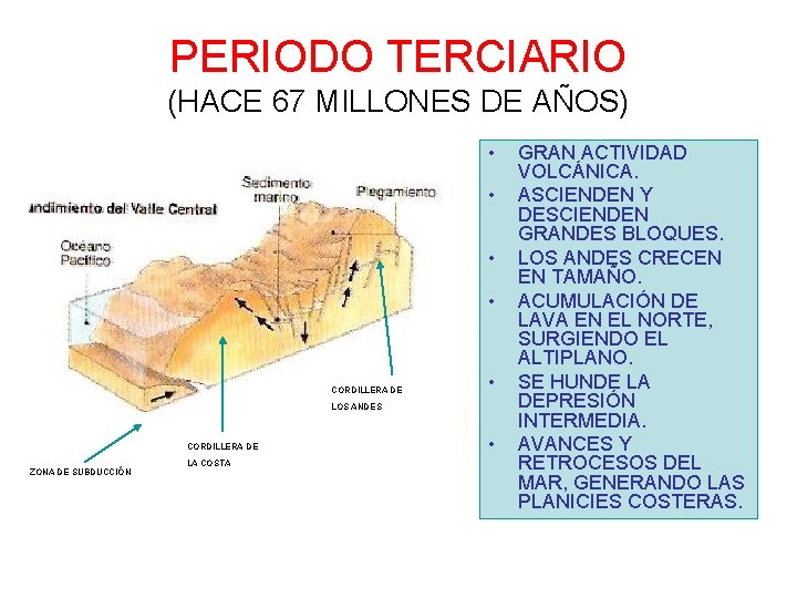 PERIODO TERCIARIO (HACE 67 MILLONES DE AÑOS) • • CORDILLERA DE • LOS ANDES