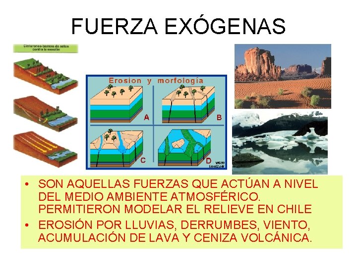 FUERZA EXÓGENAS • SON AQUELLAS FUERZAS QUE ACTÚAN A NIVEL DEL MEDIO AMBIENTE ATMOSFÉRICO.