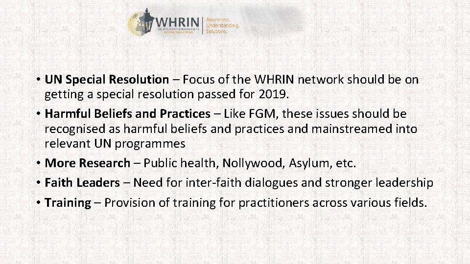  • UN Special Resolution – Focus of the WHRIN network should be on