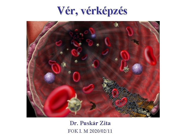 Vér, vérképzés Dr. Puskár Zita FOK I. M 2020/02/11 