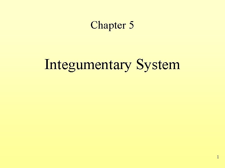 Chapter 5 Integumentary System 1 