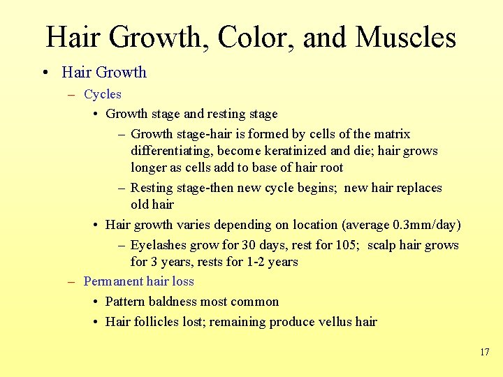 Hair Growth, Color, and Muscles • Hair Growth – Cycles • Growth stage and