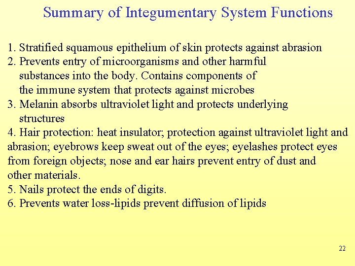 Summary of Integumentary System Functions 1. Stratified squamous epithelium of skin protects against abrasion