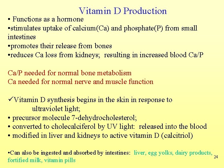 Vitamin D Production • Functions as a hormone • stimulates uptake of calcium(Ca) and