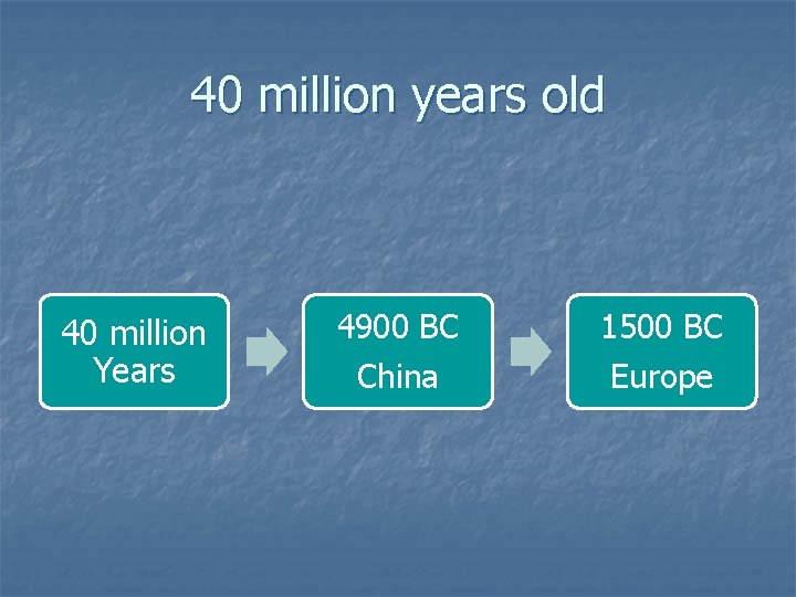 40 million years old 40 million Years 4900 BC China 1500 BC Europe 