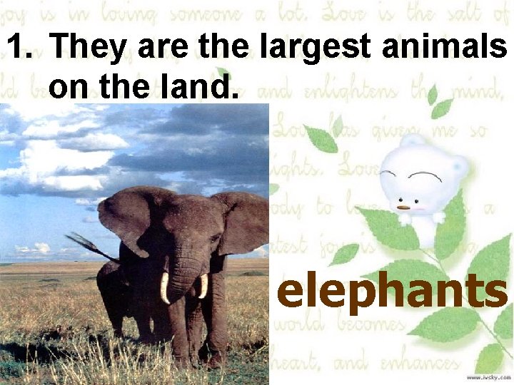 1. They are the largest animals on the land. elephants 
