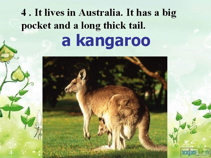 4. It lives in Australia. It has a big pocket and a long thick