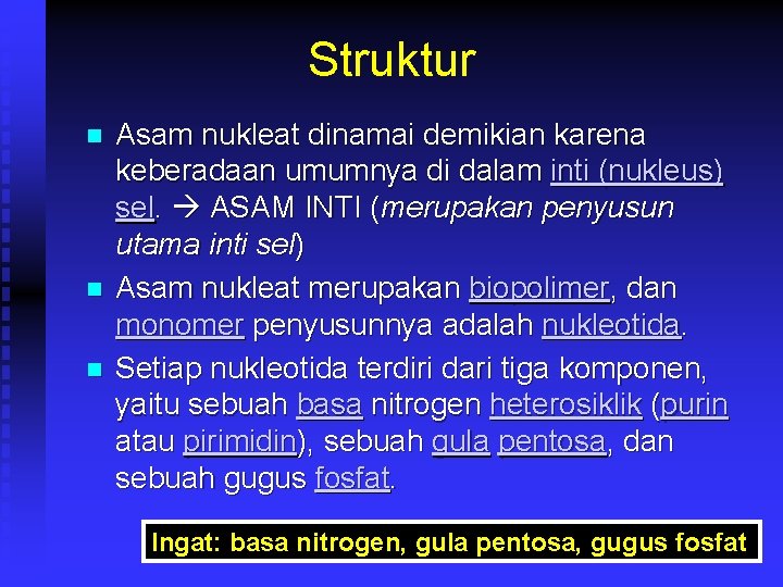 Struktur n n n Asam nukleat dinamai demikian karena keberadaan umumnya di dalam inti