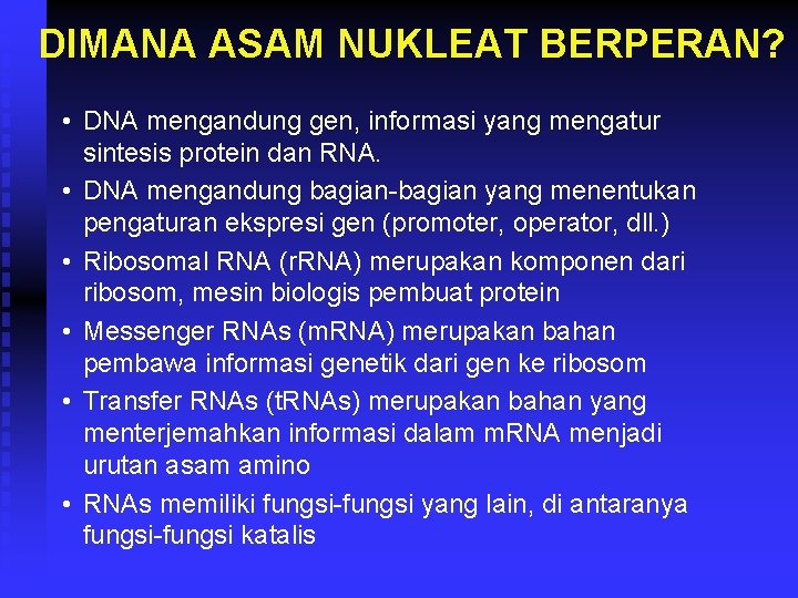 DIMANA ASAM NUKLEAT BERPERAN? • DNA mengandung gen, informasi yang mengatur sintesis protein dan