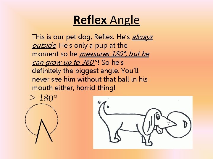 Reflex Angle This is our pet dog, Reflex. He’s always outside. He’s only a