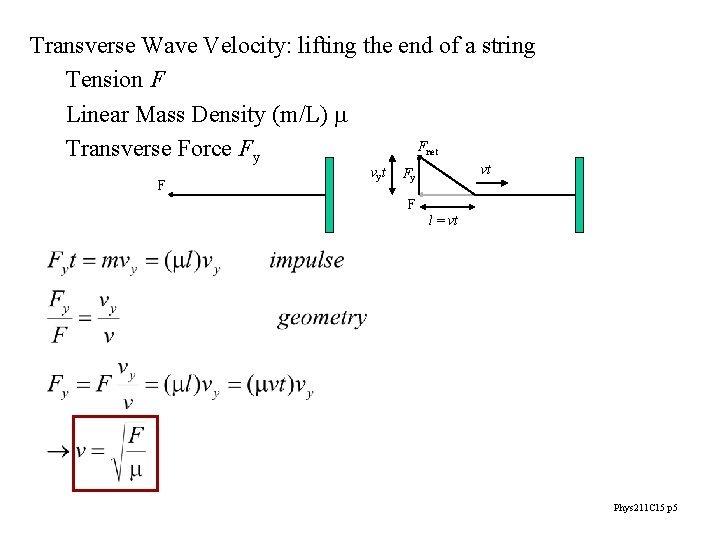 Transverse Wave Velocity: lifting the end of a string Tension F Linear Mass Density