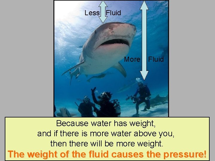 Less Fluid More Fluid Because water has weight, and if there is more water