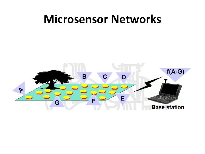 Microsensor Networks Microsensor Networks
